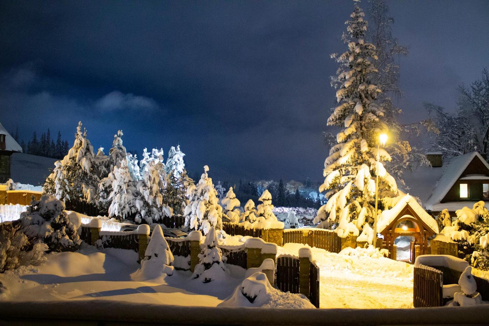 Zakopane Domki Wisienka Εξωτερικό φωτογραφία