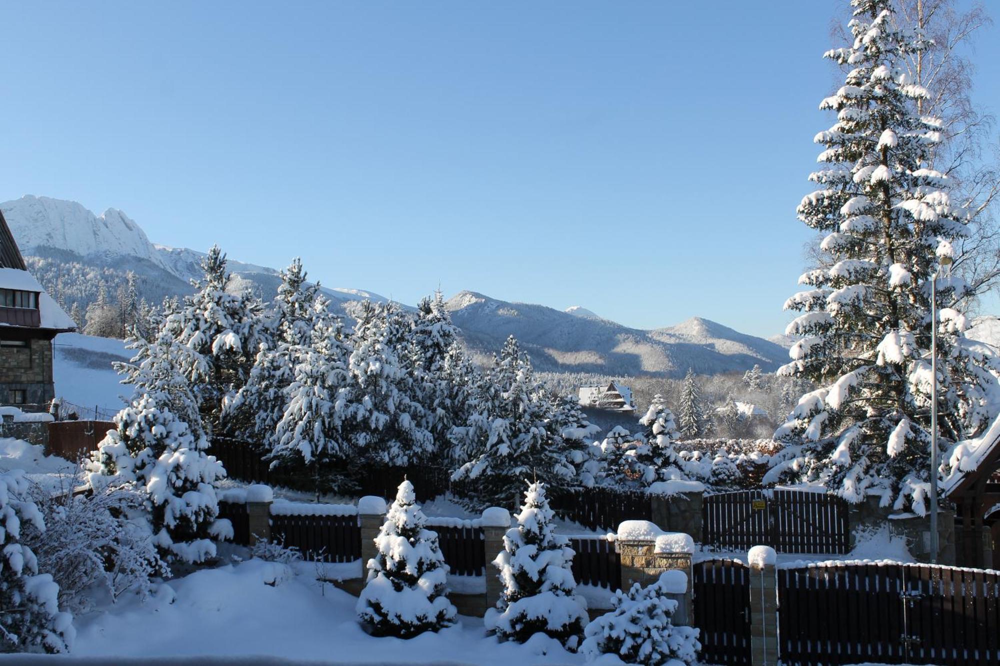 Zakopane Domki Wisienka Εξωτερικό φωτογραφία